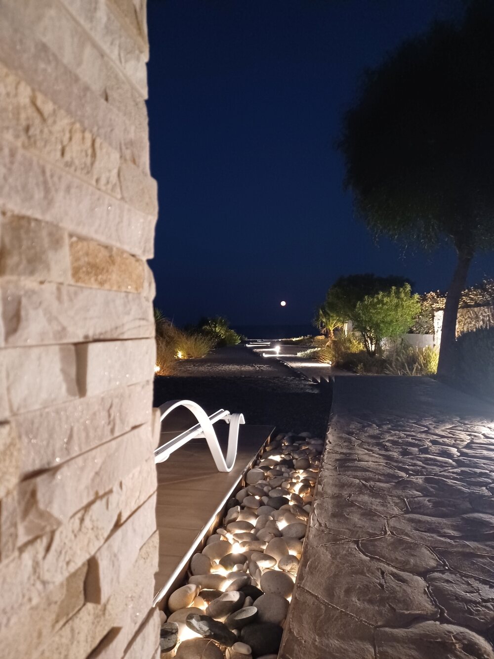 garden (4)